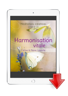 livre meditation harmonisation vitale - Pierre Lassalle